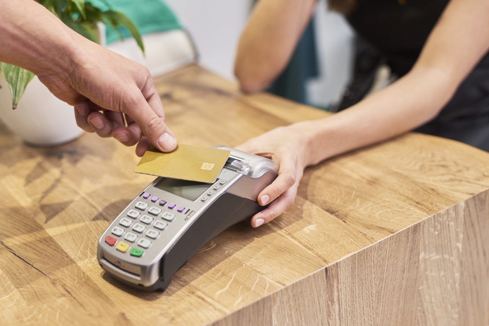 How Does Payment Processing Work? PayHawk